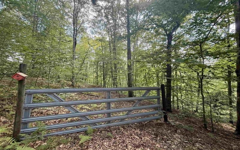 883 Slab Camp Road, French Creek, West Virginia 26218, 2 Bedrooms Bedrooms, 6 Rooms Rooms,1 BathroomBathrooms,Single Family Detached,For Sale,Slab Camp,10161193