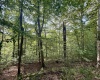 883 Slab Camp Road, French Creek, West Virginia 26218, 2 Bedrooms Bedrooms, 6 Rooms Rooms,1 BathroomBathrooms,Single Family Detached,For Sale,Slab Camp,10161193