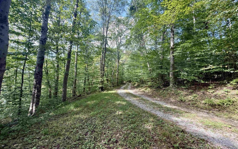 883 Slab Camp Road, French Creek, West Virginia 26218, 2 Bedrooms Bedrooms, 6 Rooms Rooms,1 BathroomBathrooms,Single Family Detached,For Sale,Slab Camp,10161193