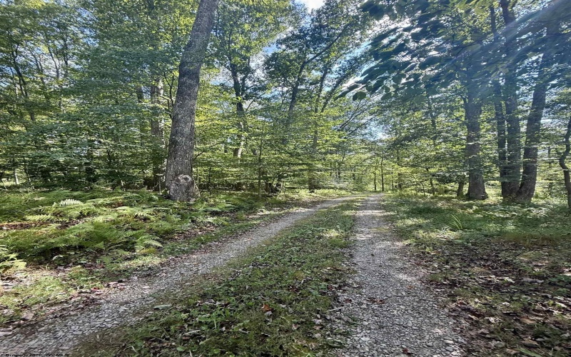 883 Slab Camp Road, French Creek, West Virginia 26218, 2 Bedrooms Bedrooms, 6 Rooms Rooms,1 BathroomBathrooms,Single Family Detached,For Sale,Slab Camp,10161193