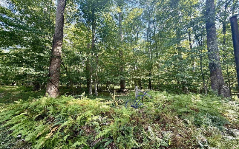 883 Slab Camp Road, French Creek, West Virginia 26218, 2 Bedrooms Bedrooms, 6 Rooms Rooms,1 BathroomBathrooms,Single Family Detached,For Sale,Slab Camp,10161193