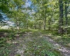 883 Slab Camp Road, French Creek, West Virginia 26218, 2 Bedrooms Bedrooms, 6 Rooms Rooms,1 BathroomBathrooms,Single Family Detached,For Sale,Slab Camp,10161193