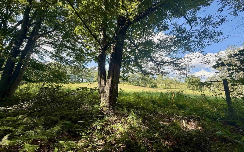 883 Slab Camp Road, French Creek, West Virginia 26218, 2 Bedrooms Bedrooms, 6 Rooms Rooms,1 BathroomBathrooms,Single Family Detached,For Sale,Slab Camp,10161193