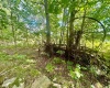 12 Oak Grove Cemetery Road, Terra Alta, West Virginia 26764, 3 Bedrooms Bedrooms, 11 Rooms Rooms,2 BathroomsBathrooms,Single Family Detached,For Sale,Oak Grove Cemetery,10161205