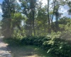 TBD Main Street, Carolina, West Virginia 26563, ,Lots/land,For Sale,Main,10161215