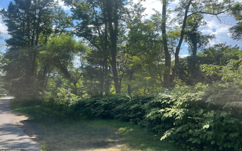 TBD Main Street, Carolina, West Virginia 26563, ,Lots/land,For Sale,Main,10161215