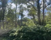 TBD Main Street, Carolina, West Virginia 26563, ,Lots/land,For Sale,Main,10161215