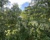 TBD Main Street, Carolina, West Virginia 26563, ,Lots/land,For Sale,Main,10161215