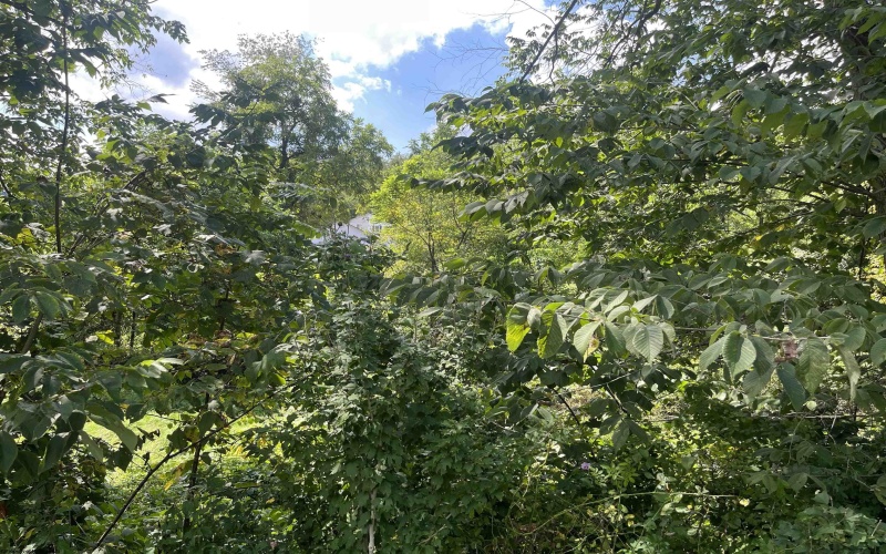 TBD Main Street, Carolina, West Virginia 26563, ,Lots/land,For Sale,Main,10161215