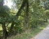 TBD Main Street, Carolina, West Virginia 26563, ,Lots/land,For Sale,Main,10161215