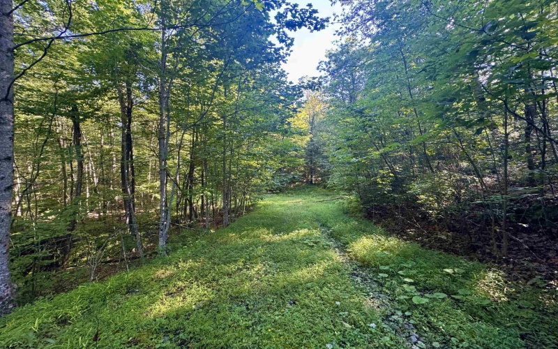 Tract 1 Teter Creek Road, Montrose, West Virginia 26283, ,Lots/land,For Sale,Teter Creek,10161229