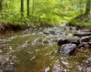 Tract 1 Teter Creek Road, Montrose, West Virginia 26283, ,Lots/land,For Sale,Teter Creek,10161229