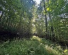 Tract 1 Teter Creek Road, Montrose, West Virginia 26283, ,Lots/land,For Sale,Teter Creek,10161229