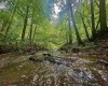 Tract 1 Teter Creek Road, Montrose, West Virginia 26283, ,Lots/land,For Sale,Teter Creek,10161229