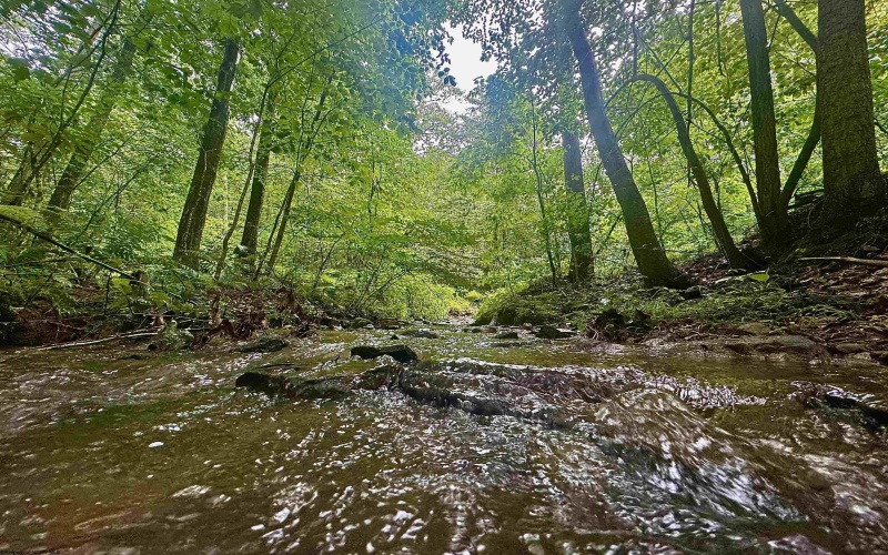 Tract 1 Teter Creek Road, Montrose, West Virginia 26283, ,Lots/land,For Sale,Teter Creek,10161229