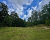 Tract 1 Teter Creek Road, Montrose, West Virginia 26283, ,Lots/land,For Sale,Teter Creek,10161229