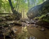 Tract 1 Teter Creek Road, Montrose, West Virginia 26283, ,Lots/land,For Sale,Teter Creek,10161229