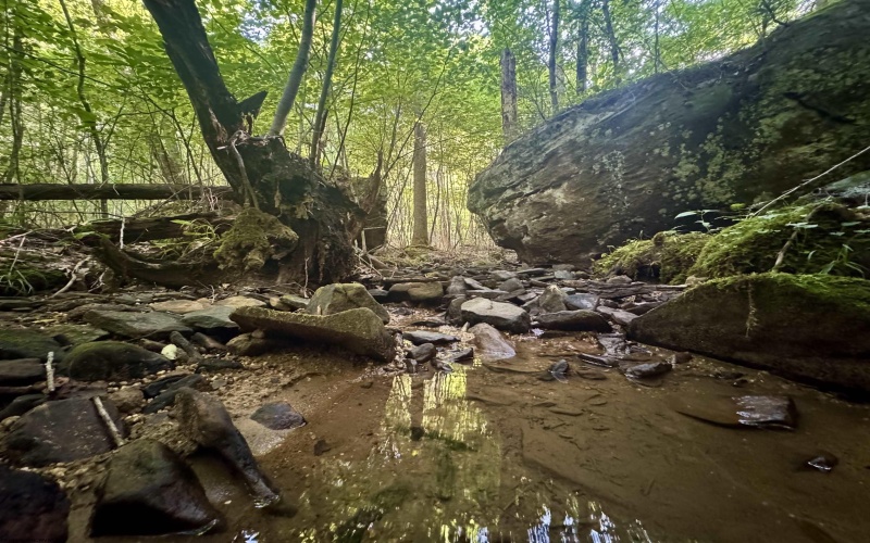 Tract 1 Teter Creek Road, Montrose, West Virginia 26283, ,Lots/land,For Sale,Teter Creek,10161229