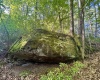 Tract 1 Teter Creek Road, Montrose, West Virginia 26283, ,Lots/land,For Sale,Teter Creek,10161229
