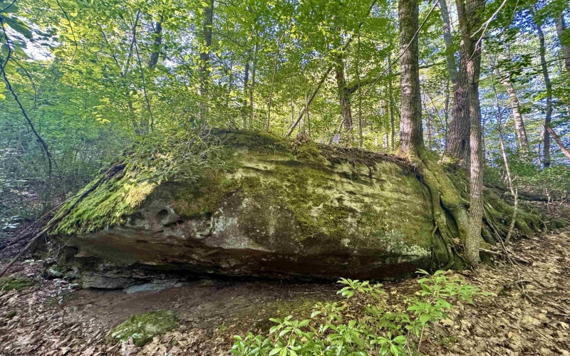 Tract 1 Teter Creek Road, Montrose, West Virginia 26283, ,Lots/land,For Sale,Teter Creek,10161229