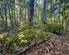 Tract 1 Teter Creek Road, Montrose, West Virginia 26283, ,Lots/land,For Sale,Teter Creek,10161229