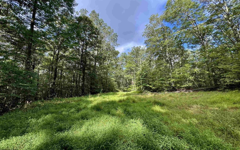 Tract 1 Teter Creek Road, Montrose, West Virginia 26283, ,Lots/land,For Sale,Teter Creek,10161229