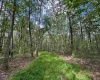 Tract 1 Teter Creek Road, Montrose, West Virginia 26283, ,Lots/land,For Sale,Teter Creek,10161229