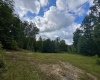Tract 1 Teter Creek Road, Montrose, West Virginia 26283, ,Lots/land,For Sale,Teter Creek,10161229