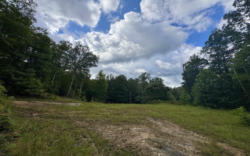 Tract 1 Teter Creek Road, Montrose, West Virginia 26283, ,Lots/land,For Sale,Teter Creek,10161229