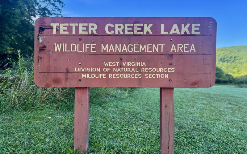 Tract 1 Teter Creek Road, Montrose, West Virginia 26283, ,Lots/land,For Sale,Teter Creek,10161229