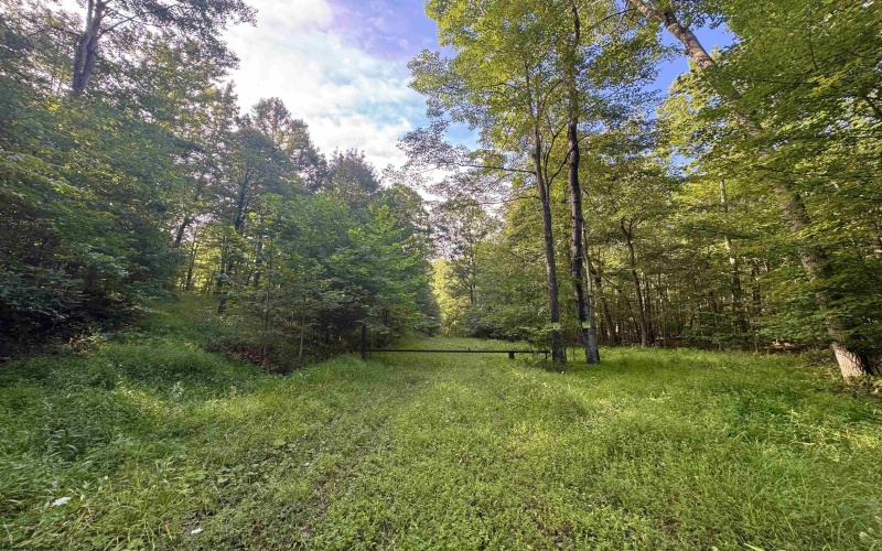 Tract 1 Teter Creek Road, Montrose, West Virginia 26283, ,Lots/land,For Sale,Teter Creek,10161229
