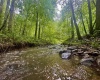 Tract 1 Teter Creek Road, Montrose, West Virginia 26283, ,Lots/land,For Sale,Teter Creek,10161229