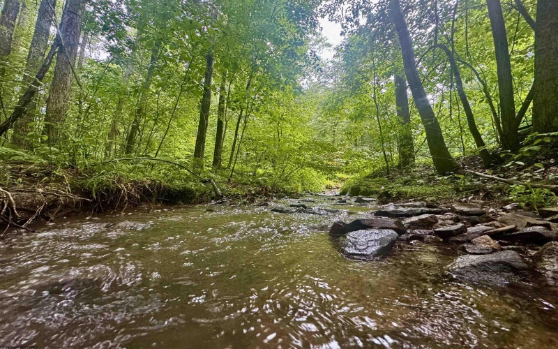Tract 1 Teter Creek Road, Montrose, West Virginia 26283, ,Lots/land,For Sale,Teter Creek,10161229
