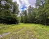 Tract 1 Teter Creek Road, Montrose, West Virginia 26283, ,Lots/land,For Sale,Teter Creek,10161229