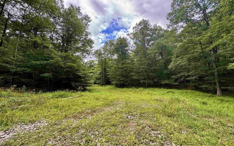 Tract 1 Teter Creek Road, Montrose, West Virginia 26283, ,Lots/land,For Sale,Teter Creek,10161229