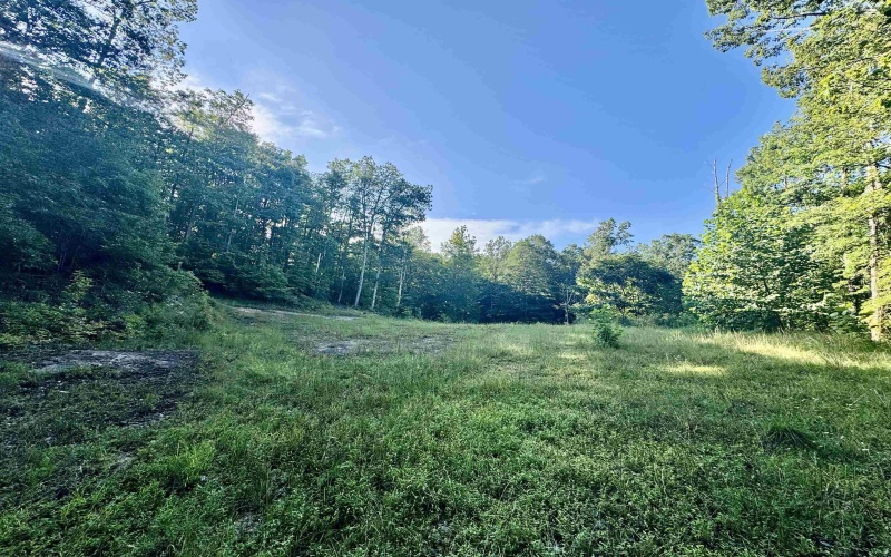 Tract 1 Teter Creek Road, Montrose, West Virginia 26283, ,Lots/land,For Sale,Teter Creek,10161229