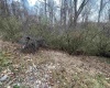 1154 Brady Gate Road, Monterville, West Virginia 26282, ,Lots/land,For Sale,Brady Gate,10161227