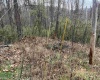 1154 Brady Gate Road, Monterville, West Virginia 26282, ,Lots/land,For Sale,Brady Gate,10161227