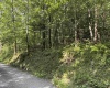 TBD Joe Gibson Road, Newburg, West Virginia 26542, ,Lots/land,For Sale,Joe Gibson,10161257