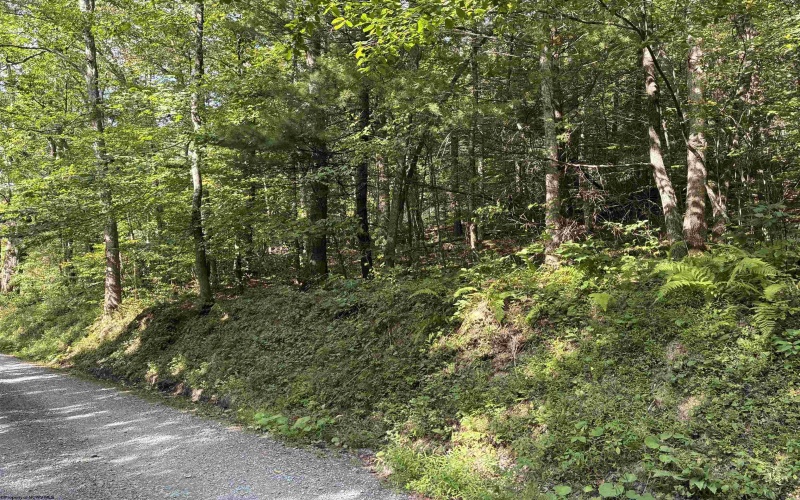 TBD Joe Gibson Road, Newburg, West Virginia 26542, ,Lots/land,For Sale,Joe Gibson,10161257