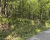 TBD Joe Gibson Road, Newburg, West Virginia 26542, ,Lots/land,For Sale,Joe Gibson,10161257