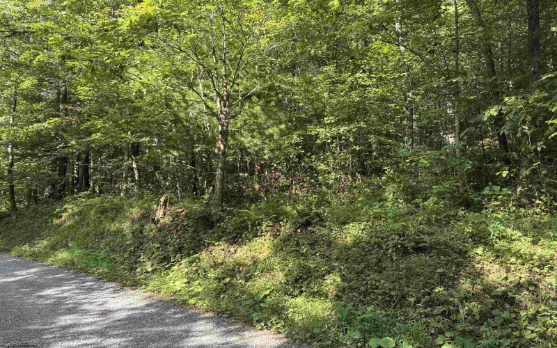 TBD Joe Gibson Road, Newburg, West Virginia 26542, ,Lots/land,For Sale,Joe Gibson,10161257