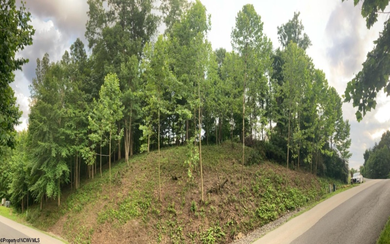 Lot 41 Falling Water Lane, Morgantown, West Virginia 26508, ,Lots/land,For Sale,Falling Water,10155693