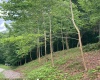 Lot 41 Falling Water Lane, Morgantown, West Virginia 26508, ,Lots/land,For Sale,Falling Water,10155693