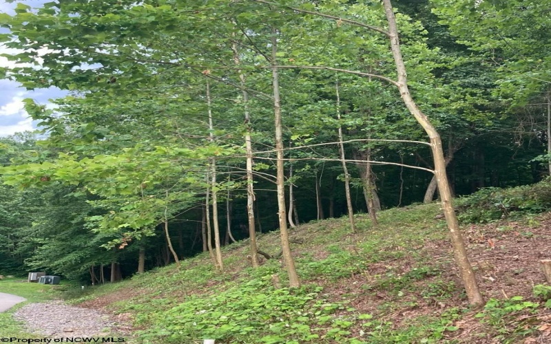 Lot 41 Falling Water Lane, Morgantown, West Virginia 26508, ,Lots/land,For Sale,Falling Water,10155693