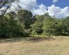 TBD Hampton Street, Elkins, West Virginia 26241, ,Lots/land,For Sale,Hampton,10161233