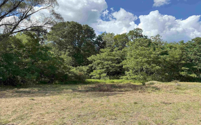 TBD Hampton Street, Elkins, West Virginia 26241, ,Lots/land,For Sale,Hampton,10161233