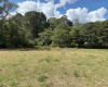 TBD Hampton Street, Elkins, West Virginia 26241, ,Lots/land,For Sale,Hampton,10161233