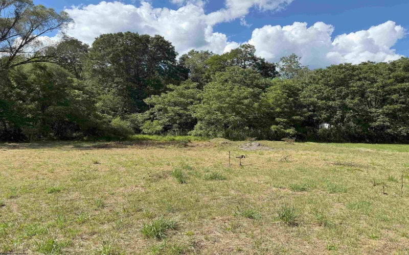 TBD Hampton Street, Elkins, West Virginia 26241, ,Lots/land,For Sale,Hampton,10161233