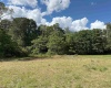 TBD Hampton Street, Elkins, West Virginia 26241, ,Lots/land,For Sale,Hampton,10161233